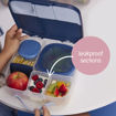 Picture of B.BOX LUNCH BOX BLUSH CRUSH
